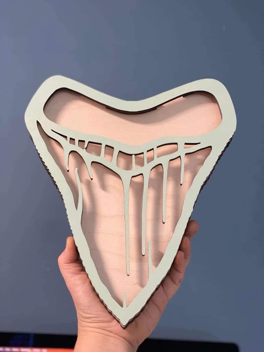Megalodon Tooth Shadow Box