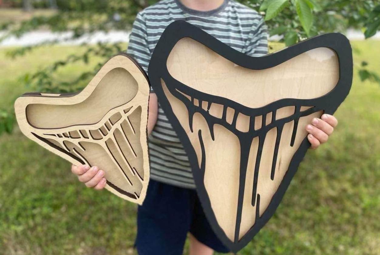 Megalodon Tooth Shadow Box